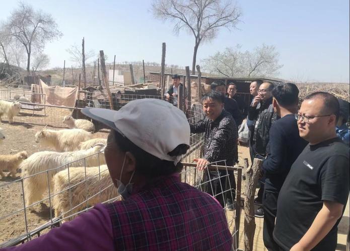 在绒山羊养殖户家中,高玉平详细了解了种羊引种,饲草饲喂,羊舍建设